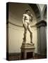Michelangelo's Sculpture of David, Florence, Italy-Bill Bachmann-Stretched Canvas