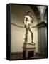 Michelangelo's Sculpture of David, Florence, Italy-Bill Bachmann-Framed Stretched Canvas