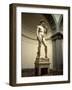 Michelangelo's Sculpture of David, Florence, Italy-Bill Bachmann-Framed Photographic Print