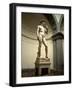 Michelangelo's Sculpture of David, Florence, Italy-Bill Bachmann-Framed Photographic Print