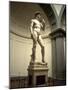 Michelangelo's Sculpture of David, Florence, Italy-Bill Bachmann-Mounted Photographic Print