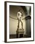 Michelangelo's Sculpture of David, Florence, Italy-Bill Bachmann-Framed Photographic Print