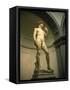 Michelangelo's Statue of David, Florence, Tuscany, Italy-Michael Jenner-Framed Stretched Canvas