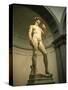 Michelangelo's Statue of David, Florence, Tuscany, Italy-Michael Jenner-Stretched Canvas