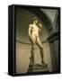 Michelangelo's Statue of David, Florence, Tuscany, Italy-Michael Jenner-Framed Stretched Canvas