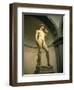 Michelangelo's Statue of David, Florence, Tuscany, Italy-Michael Jenner-Framed Photographic Print