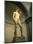 Michelangelo's Statue of David, Florence, Tuscany, Italy-Michael Jenner-Mounted Photographic Print