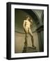 Michelangelo's Statue of David, Florence, Tuscany, Italy-Michael Jenner-Framed Photographic Print