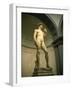 Michelangelo's Statue of David, Florence, Tuscany, Italy-Michael Jenner-Framed Photographic Print