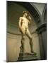 Michelangelo's Statue of David, Florence, Tuscany, Italy-Michael Jenner-Mounted Photographic Print