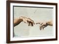 Brown Frame