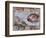 Michelangelo, the Creation of Adam in the Sistine Chapel, Vatican, Rome, Lazio, Italy, Europe-Rainford Roy-Framed Photographic Print