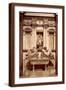 Brown Frame