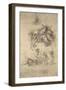 Brown Frame