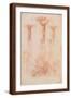 Brown Frame