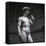 Michelangelos David-Michelangelo Buonarroti-Framed Stretched Canvas