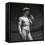 Michelangelos David-Michelangelo Buonarroti-Framed Stretched Canvas