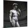 Michelangelos David-Michelangelo Buonarroti-Mounted Premium Photographic Print