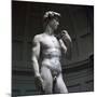 Michelangelos David-Michelangelo Buonarroti-Mounted Photographic Print