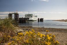 Mukilteo Lighthouse, Mukilteo, Washington, USA-Michele Benoy Westmorland-Laminated Photographic Print