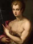 St. John the Baptist, C.1570-Michele Di Ridolfo Tosini-Giclee Print