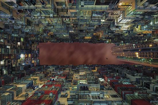 Photographic Print, , large