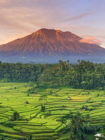 Indonesia, Bali, Redang, View of Rice Terraces and Gunung Agung Volcano'  Photographic Print - Michele Falzone | AllPosters.com
