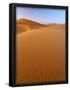 Essential Black