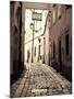 Wood Mount