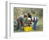 Michele Galantino Gathering Olives for Fine Extra Virgin Oil on His Estate, Puglia, Italy-Michael Newton-Framed Photographic Print