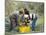 Michele Galantino Gathering Olives for Fine Extra Virgin Oil on His Estate, Puglia, Italy-Michael Newton-Mounted Photographic Print