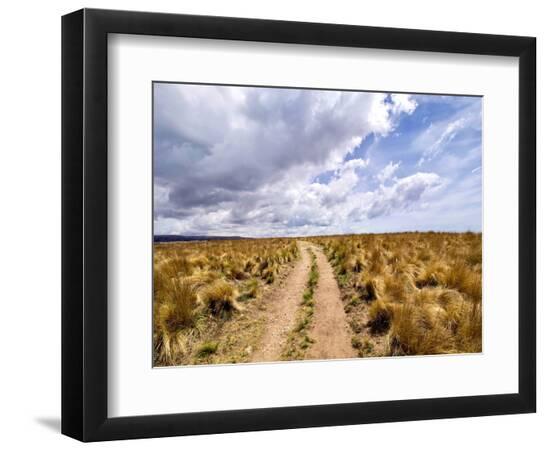Premium Photographic Print, , large