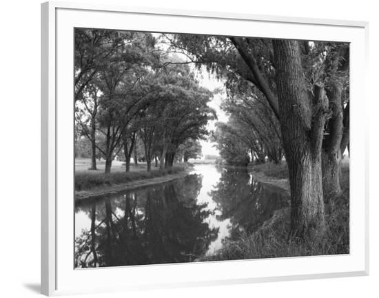 Framed Photographic Print, , large