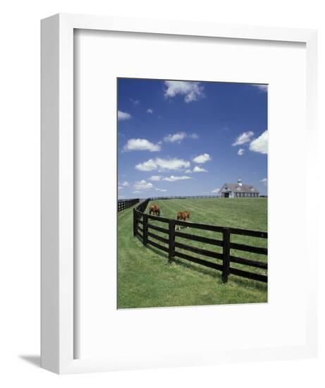 Framed Photographic Print, , large