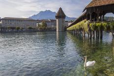 Lake Lucerne, Switzerland. Famous walking bridge and swans in river during the fall season.-Michele Niles-Photographic Print