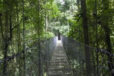 Mistico Arenal Hanging Bridges Park in Arenal, Costa Rica.-Michele Niles-Photographic Print