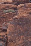 Rock climber at Red Rock Canyon, Las Vegas, Nevada.-Michele Niles-Photographic Print