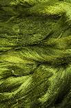 Threads hanging to drying in fabric factory in Mandalay, Myanmar.-Michele Niles-Photographic Print