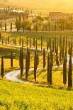 Baccoleno farmhouse in Asciano, Tuscany, Italy-Michele Rossetti-Photographic Print