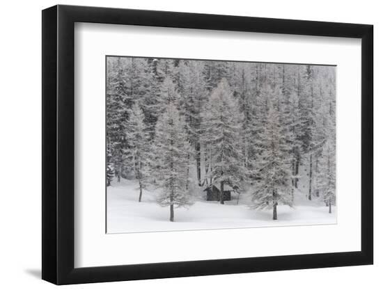 Premium Photographic Print, , large