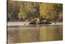 Stretched Canvas