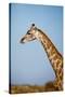 Stretched Canvas