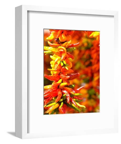 Framed Photographic Print, , large
