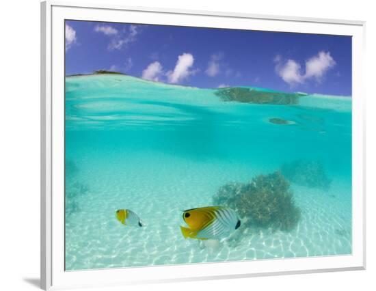 Framed Photographic Print, , large
