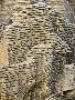 Laminate