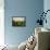 Michelgrove House, Clapham, Near Worthing, Sussex-null-Framed Stretched Canvas displayed on a wall