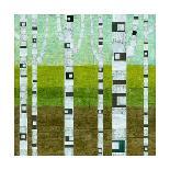 Spring Birches-Michelle Calkins-Art Print