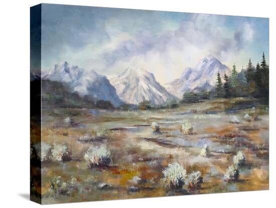 Stretched Canvas Print, , large