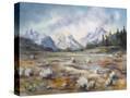 Stretched Canvas