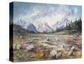 Stretched Canvas